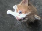 MI PEQUE�O SEBASTIAN