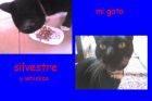 yo y mi comida whiskas