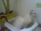 en la caja de arena 
