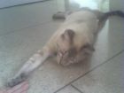 flojeando y estirandome 