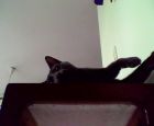 patas arriba I_I