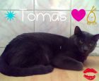 posando