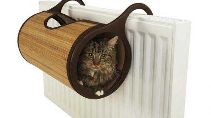 Las 7 mejores camas de radiador para gatos