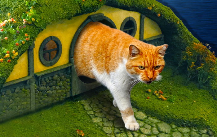 El Se&ntilde;or de los Anillos para gatos (14)