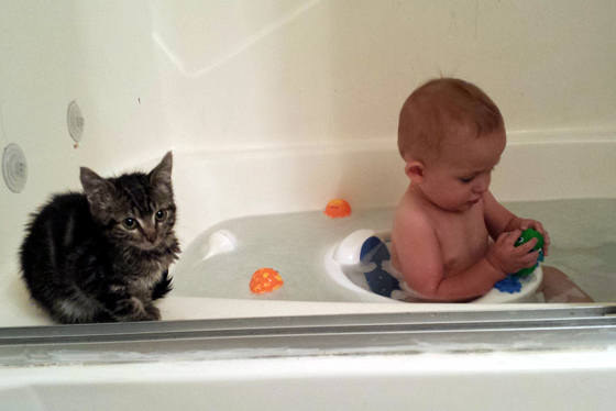 Gatos con manchas muy particulares (13)