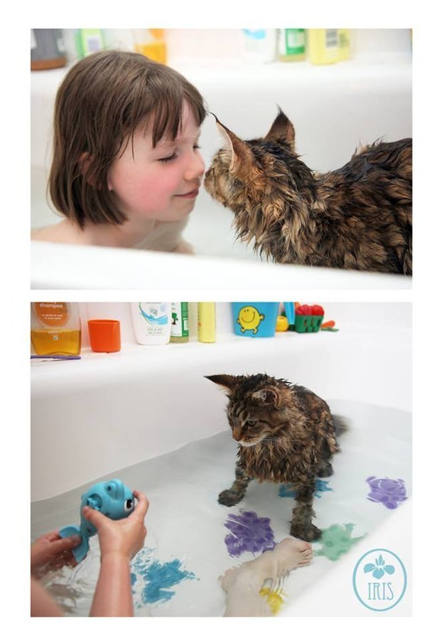 Gatos con manchas muy particulares (21)