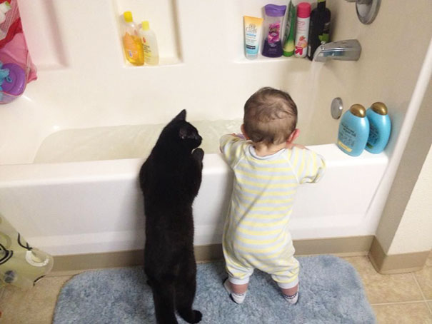 Gatos que adoran a los niños pequeños (12)