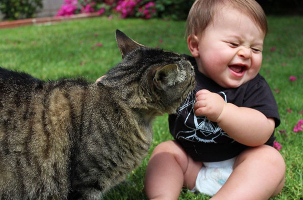 Gatos que adoran a los niños pequeños (4)