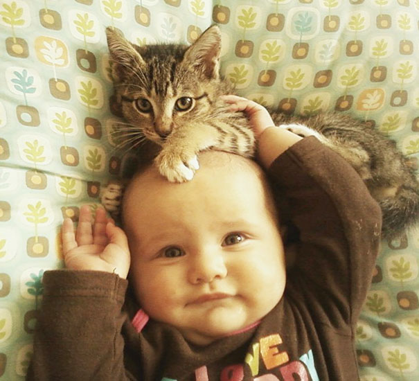 Gatos que adoran a los niños pequeños (5)