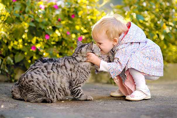 Gatos que adoran a los niños pequeños (6)
