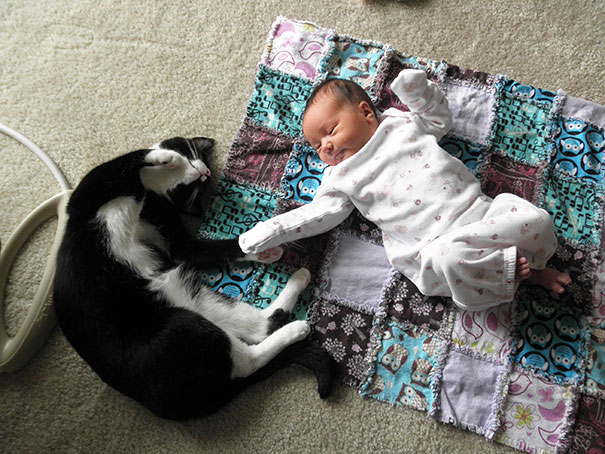 Gatos que adoran a los niños pequeños (7)