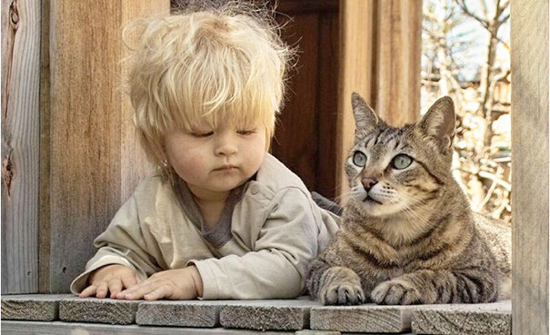 Gatos que adoran a los niños pequeños (8)
