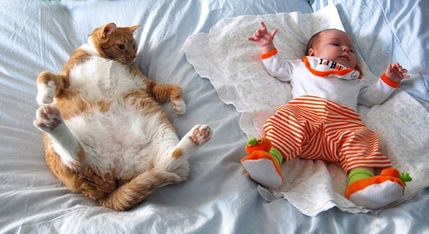 Gatos que adoran a los niños pequeños (9)