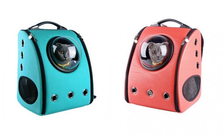 Bolsa de gatos de diseno futurista (2)