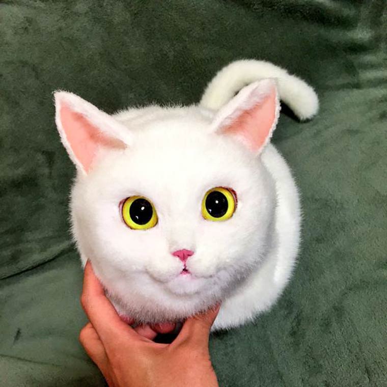 Bolsos de gatos muy realistas 11