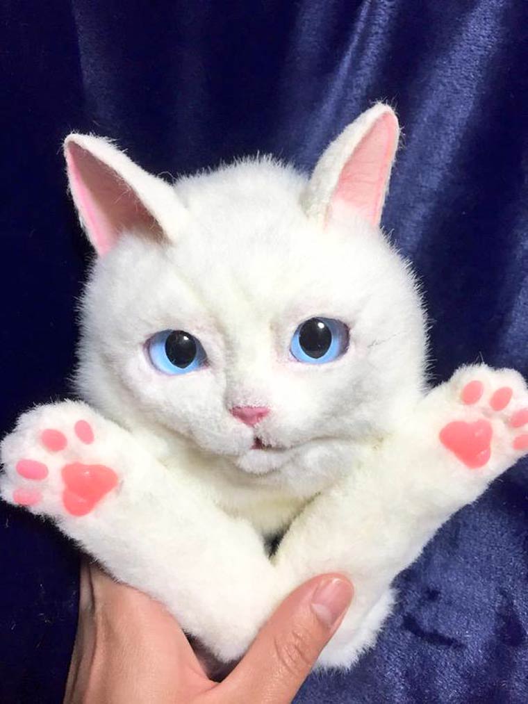 Bolsos de gatos muy realistas 12