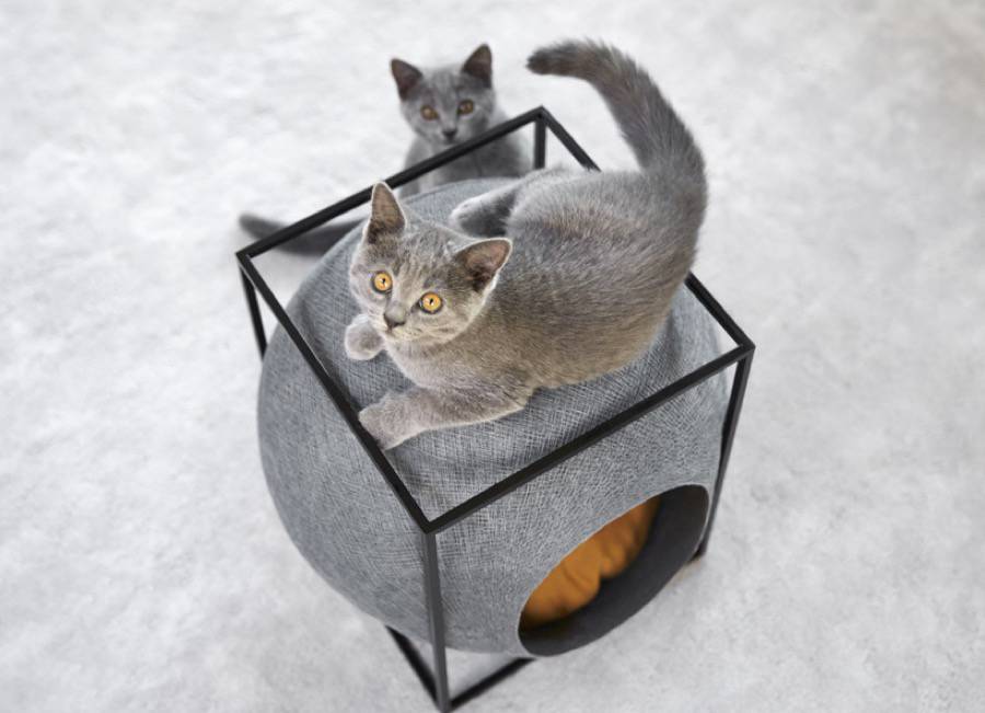 Camas para gatos de diseño 2