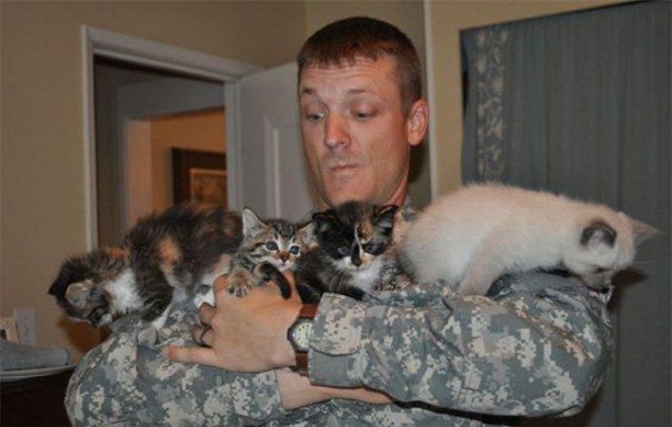Soldados en guerra y gatos 4