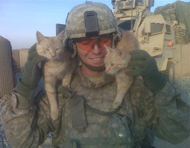 Soldados en guerra y gatos 6