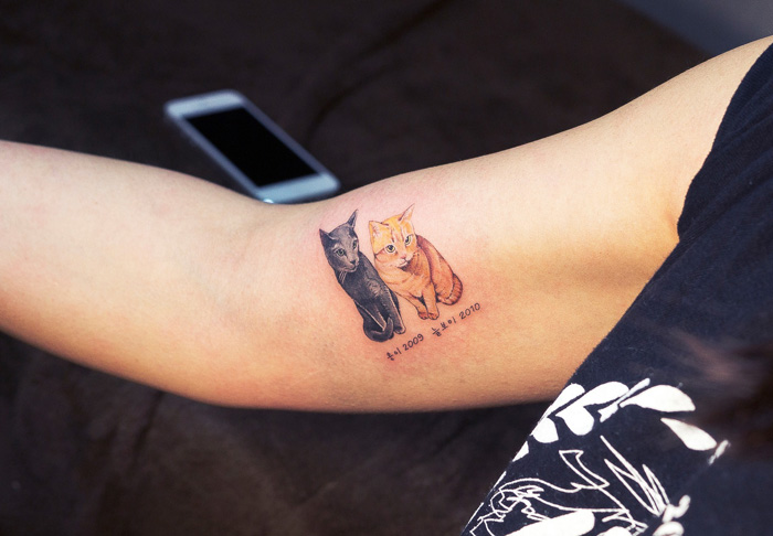 Tatuajes de gatos, muchos duenos los tienen (8)