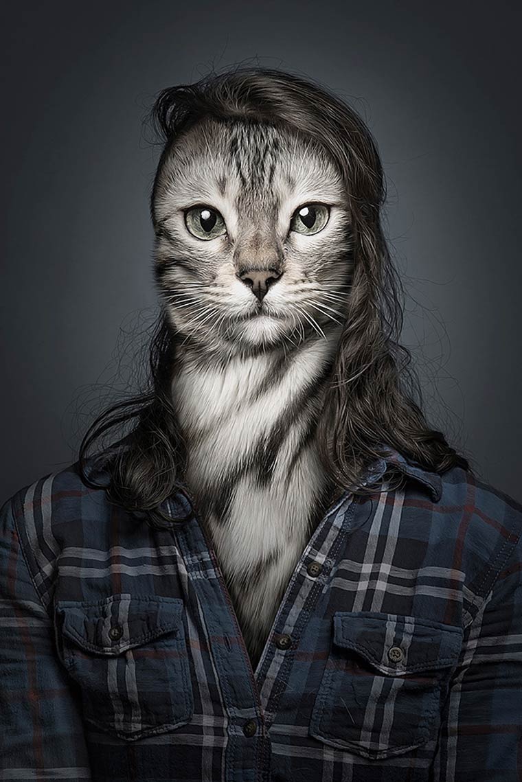 Un fotografo personaliza a los gatos como a sus duenos (6)